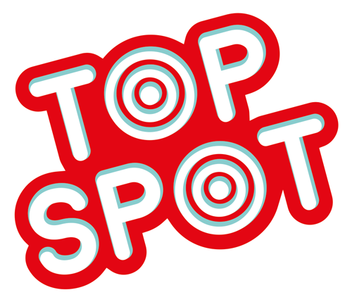 Top Spot - SmartGames