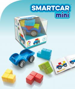 SmartCar Mini